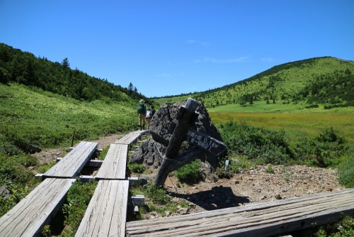 酸ヶ平湿原