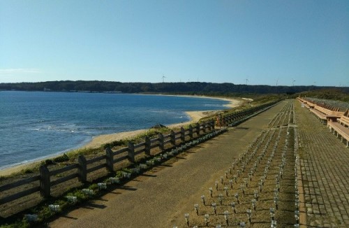 日中の増穂浦