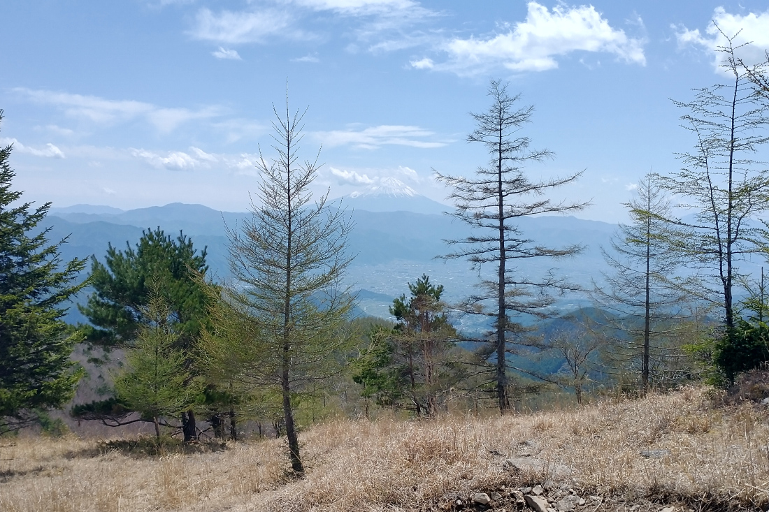 IMG_20250504_120427655_HDR