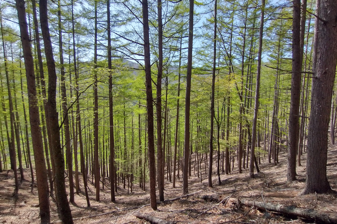 IMG_20250504_131707840_HDR