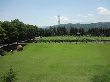 2013.7.12-3.JPG