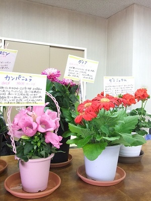 2014.4.17-7.JPG